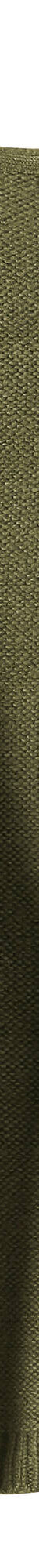 Gilet sans manches (vert olive) Gilet sans manches (vert olive)